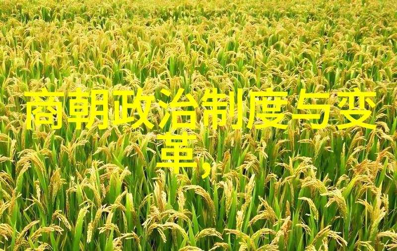 老师的可爱兔子与水果盛宴探索动漫APP中的虚拟世界