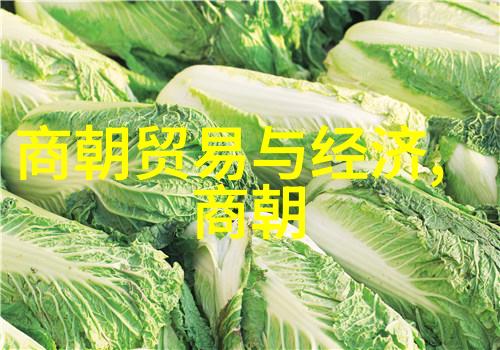 盛世煌华与凋零残梦朝代发展的反差史