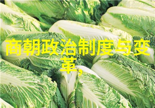 明朝那些事儿时光的长河与历史的沉浮