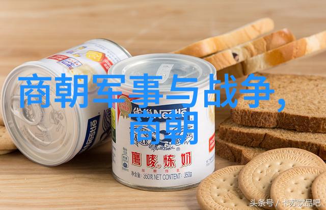 穿越千年揭秘中国历史的神秘朝代