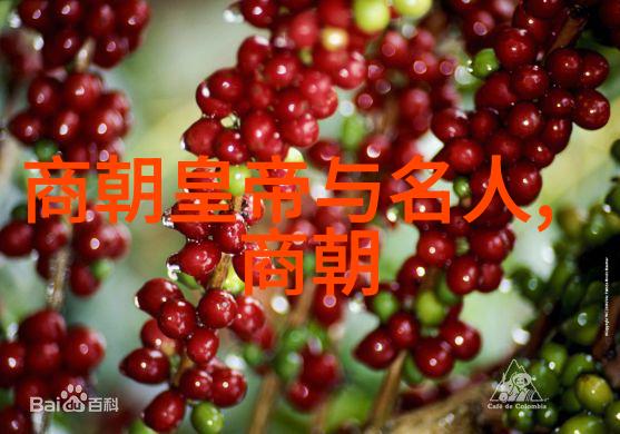 明朝疆域辉煌一幅历史地图的故事探索