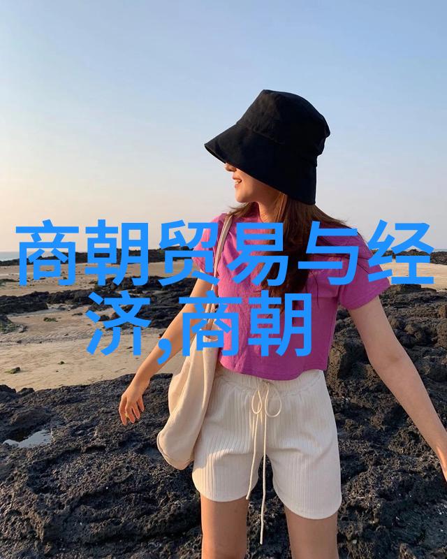 清初康熙帝对内政外交有什么重要贡献