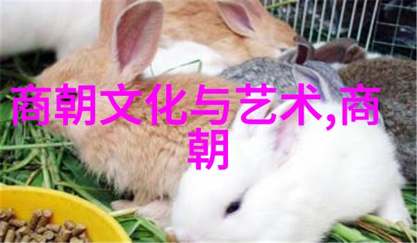 明朝那些事有声小说时光里的凤舞龙飞