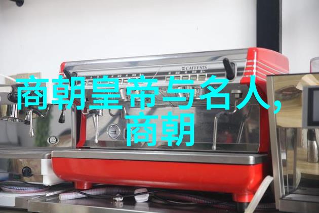 揭秘古代神秘明朝的阴影与迷雾