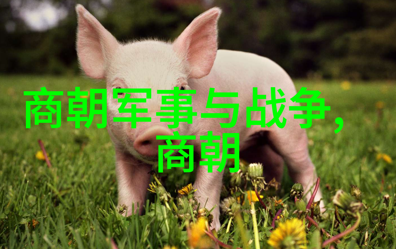 环境灾害如何影响了元朝的存续