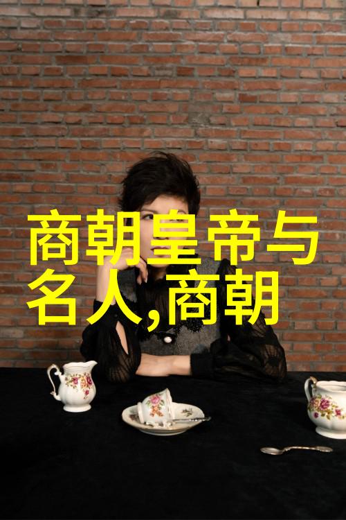 刘亦菲主演的靖康之痛电视剧深度剖析