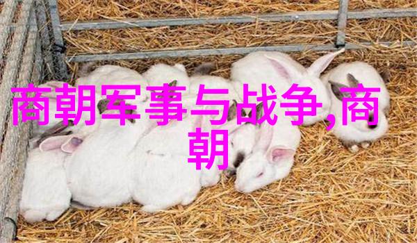 中国神话故事摘抄神笔马良巍然如同天赐的神器笔下生花万千如同大自然的奇迹般夸张