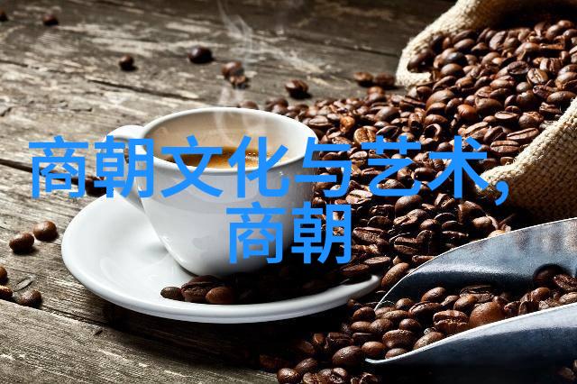 永乐北伐明朝开疆拓土的伟大征途