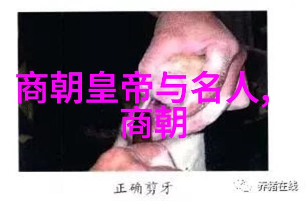 大秦铁路古今交汇点下的经济命脉