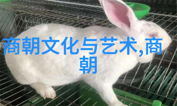 阿凡提智慧录探秘古代神话中的明辨是非之主