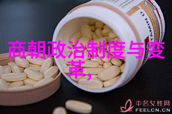 宋朝历史应用探索千古盛世的数字旅程