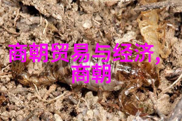 从千里马到无数鲜活生命土木堡之战背后的沉痛真相