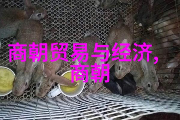 明朝族谱之谜掀开家族历史的神秘面纱
