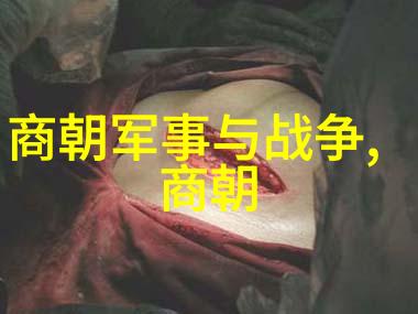 明朝历史辉煌与衰落的交错篇章