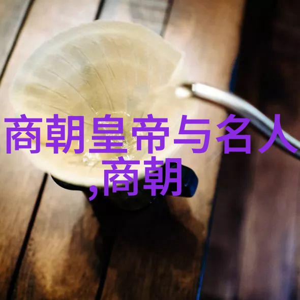 在经历了数次外来侵扰后晋朝最后几任皇帝采取了哪些措施以挽回局势