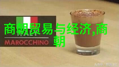 社会管理与法治建设明朝法律体系及其执行力度