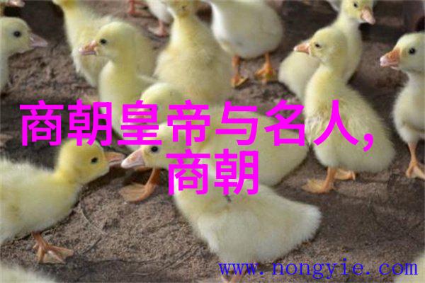 河南戏曲界的巅峰之星陈素真荣登第一位她的花木兰豫剧演绎得如同天仙下凡令人目不暇接