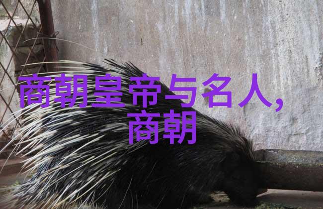 中国朝代顺序表从黄帝到清朝的辉煌历程