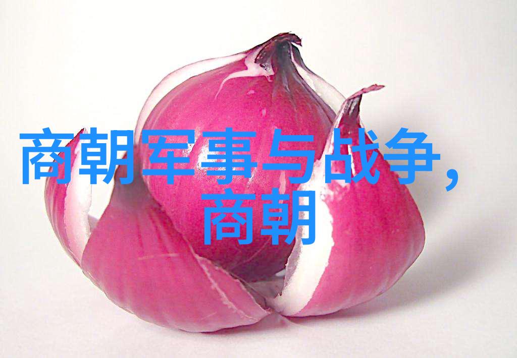 明朝那些事儿全七册TXT下载揭秘历史的深邃迷雾