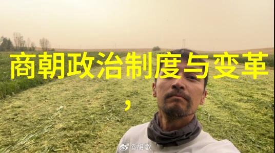 黄梅戏韩再芬孟丽君盛会第四届艺术节群众盛宴