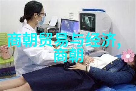 千年盛衰中国历史最长王朝的辉煌与暗影