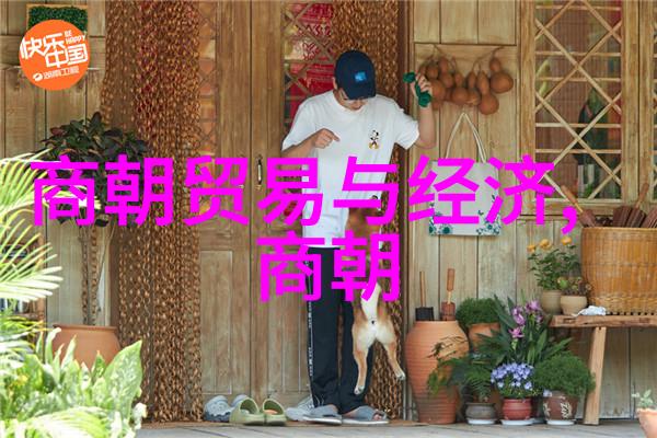 朝代盛衰明朝顺序表的反差篇