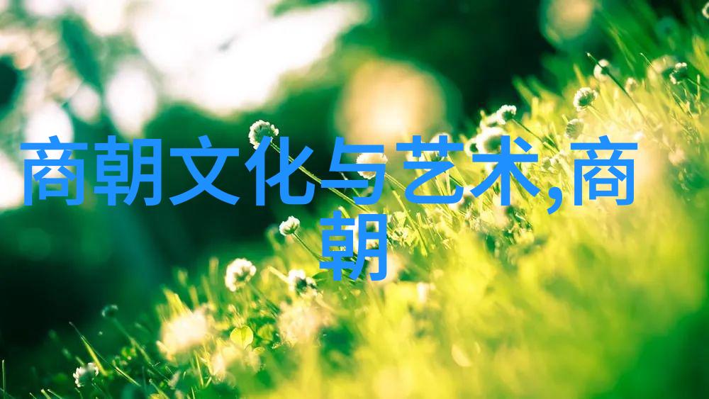 明朝那些事读后感大学历史书籍的魅力与教育价值