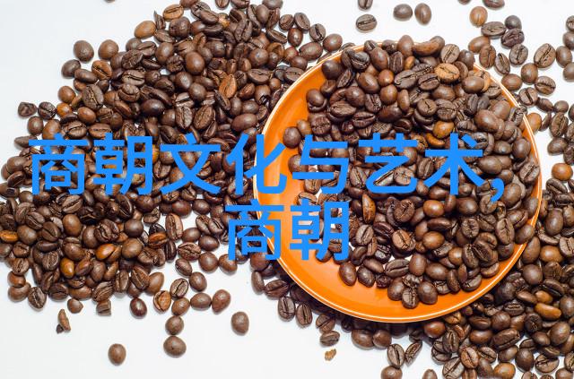 明朝风云录揭秘奇书网中的历史迷雾
