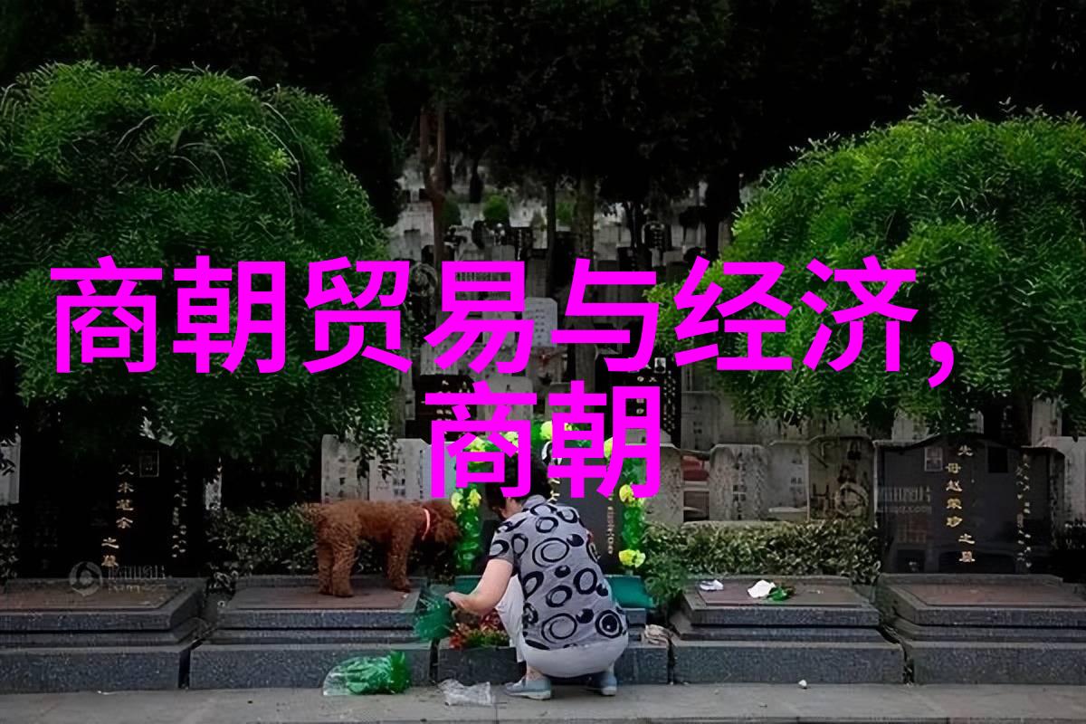 人才流失与教育系统退化文化传承中断的根源探究