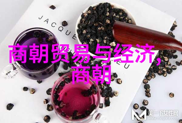 宫廷斗争下的超自然现象权力斗争中狐假虎威的策略考察