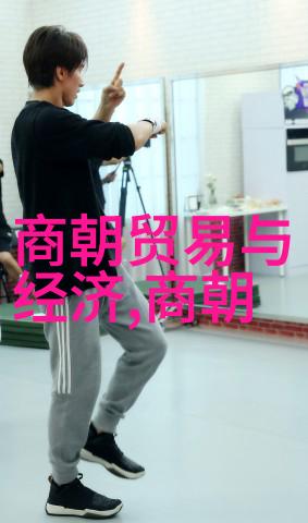 承载记忆的翅膀