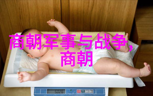文皇帝朱棣明朝中期政治经济的一系列变革