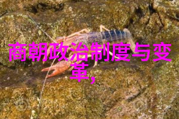 紫禁城的传奇子孙
