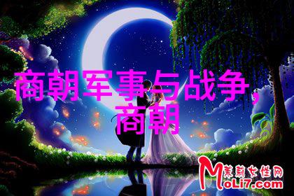 明朝君主序列研究考古证据与文献记载的对比分析