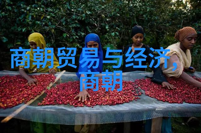 历史长河中的变迁与成就中国古代文明时期的兴衰与影响