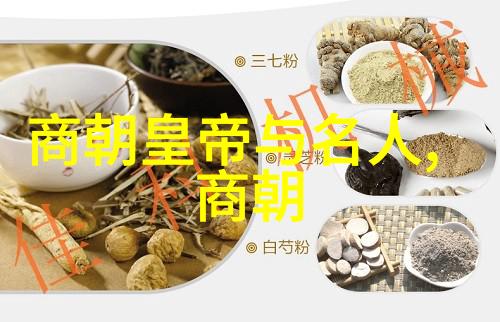 个人视角-独自沉浸一人的www视频动漫版探秘