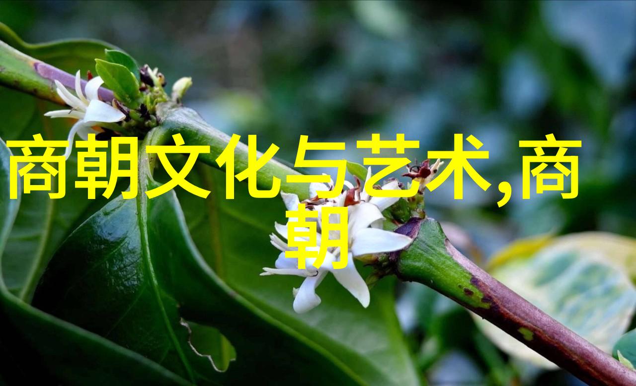 姜可小说我是如何被逆袭的甜婚记里的男主角深深吸引的