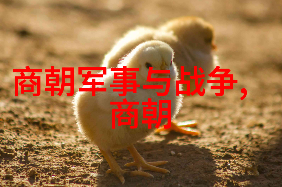 如 何通过明朝的年龄世系表来了解皇室继承体系