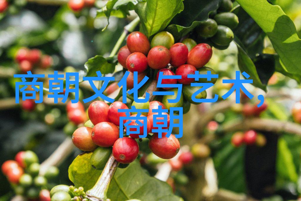 陈轸三国志真实武将排名之物品考察