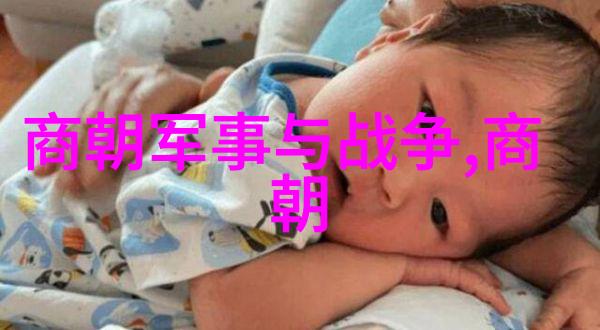 元朝覆灭的历史原因探究从分裂到外患的终极命运