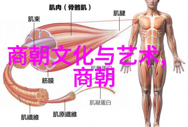 免费听明朝那些事儿-揭秘历史佳话免费聆听明朝那些故事