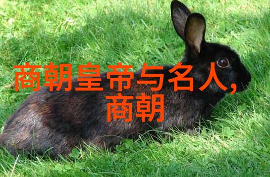 狐仙官网虚幻狐狸的神秘世界