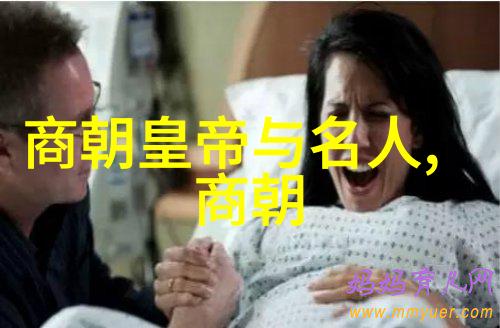 古代史 - 殷商周三朝的辉煌比夏朝早的文明探究