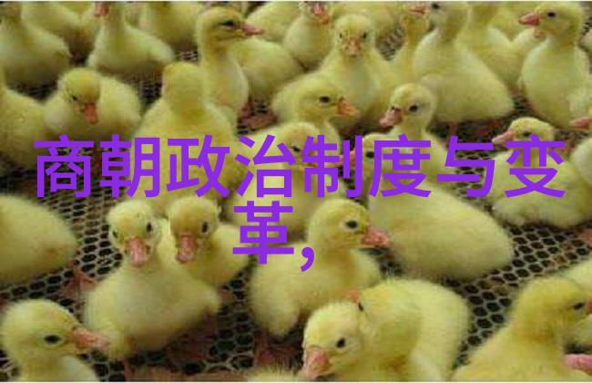 明代史话揭秘明朝那些事儿第七卷与第九卷差异