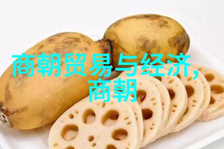 明朝贵族家族谱系研究揭秘江山社稷的血脉纽带