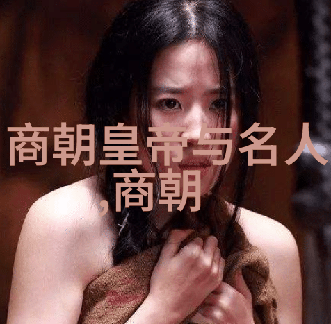 刘亦菲主演的靖康之灾