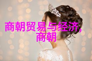 南宋与北宋的对比历史长河中的两颗璀璨明珠