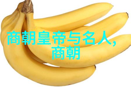 明朝晚期政治危机下的皇帝命运变迁研究以朱瞎子为中心
