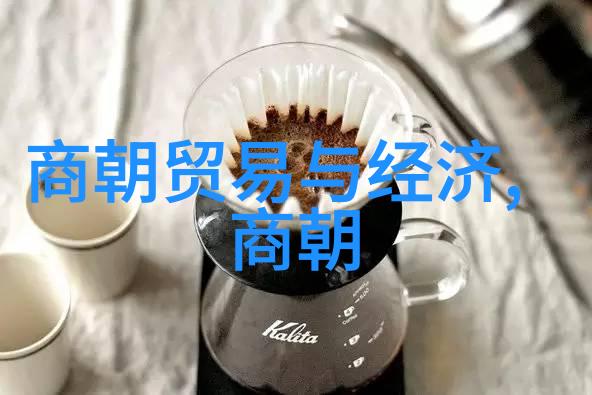 大明王朝映射问题历史与现实的错综复杂探究