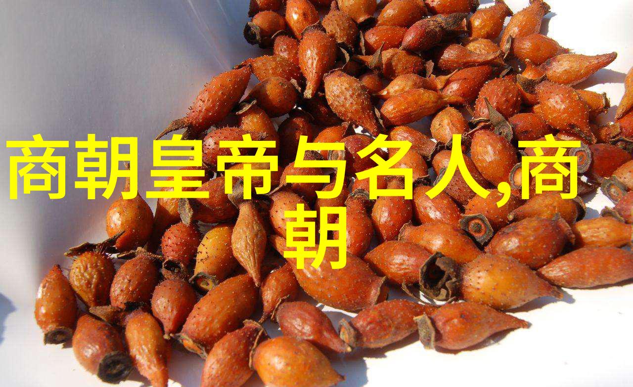 内地早期男歌手之风华录唱红一片的诗人行列
